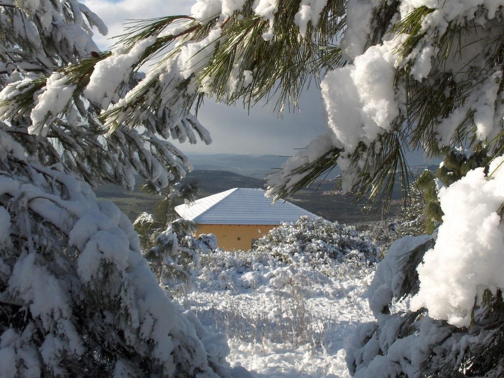 First Light Cabins Amirim Zewnętrze zdjęcie